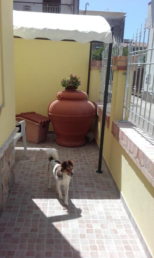 B&B A Casa Di Antonella Scauri  Zewnętrze zdjęcie